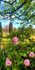 Casa Stella Country House