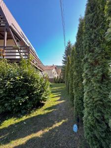 UMANI Retreat