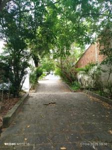 Casa grande para o São João