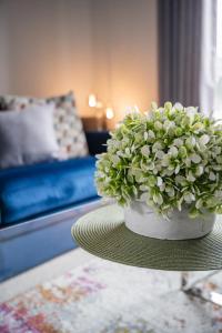 Quiet 2 bedroom gem in Stirling