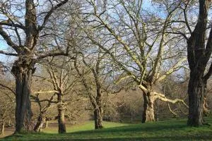 Hill House second - Eltham