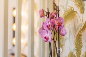 Urban Luxe Studio Torremoilinos