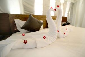 Badi Meadows By Wilkisto Near Fatehsagar Lake