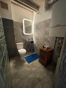 GreenPark Garden Villa Family Apartments Near Tokaj