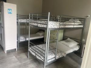 Auberges de jeunesse Dortoir de 12Lits : photos des chambres