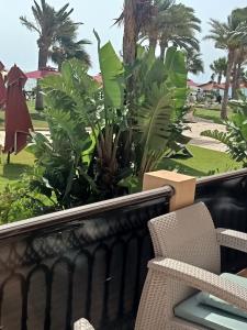 Luxury beachfront apartment