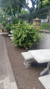 Mabhida accommodation