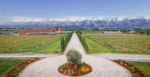 Château Mosmieri Hotel & Winery