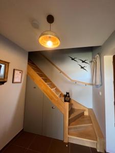 loiseau sur la chaise