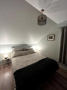 loiseau sur la chaise