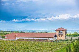 Château Mosmieri Hotel & Winery