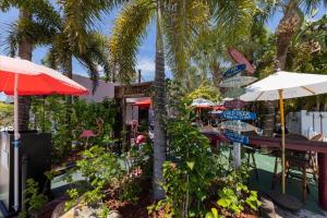 Coconut Paradise by SkyRun Anna Maria