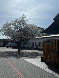 Unseburger Brauhaus GmbH Ferienwohnung 6