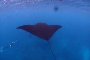 Круиз на Яхте с Бали на Нуса Пенида