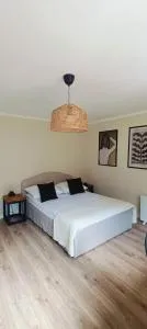 Leśne Szlaki AP Apartment's - Єдліна-Здруй