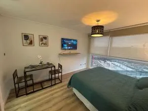 Apartamento Nuevo en Osorno - Pichil