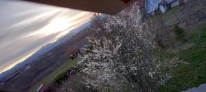 chambres d'hôtes Imago