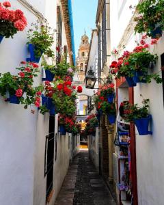 La Pimentera Rooms