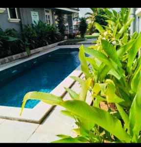Sun-kissed Emerald 4 bedroom villa