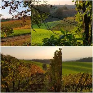Tenuta Colle Manora - Country House nel Monferrato - Lu