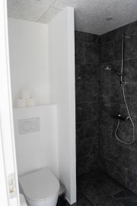 Birkelse Hotel og Kro