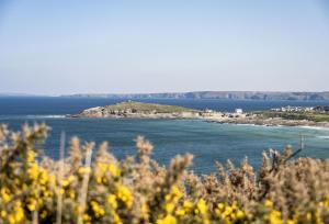 8 Spinnakers in Fistral, Newquay