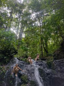 Eco Lodge&Farm Rustic Roots Reserve