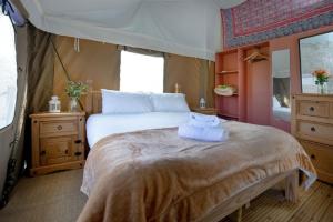 Woodpecker - Kittisford Barton