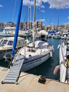 Papifrank - Cabo Roig