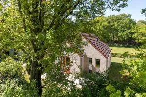 Beautiful holiday home on park on swimming water - Weurt