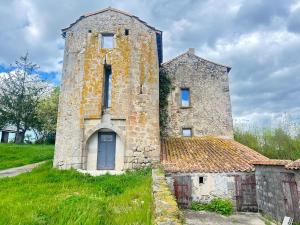 Maisons de vacances Chateau de Chausserais : photos des chambres