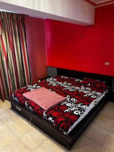 Ain Sokhna, Porto Sokhna, available guys