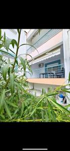 Luxury Beach Apartment