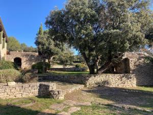 Maisons de vacances Mas traditionnel a Gordes en pleine nature : photos des chambres
