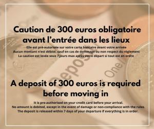 Appartements Duplex Le Chant des Oiseaux : photos des chambres