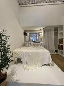 Loft 2 Beachfront Porto Faro