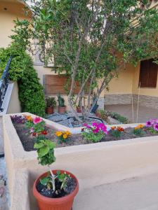 Appartamento Pina Caletta sul mare