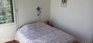 Sejours chez l'habitant Entre Ville & Nature-Sejour ideal a Massy : photos des chambres