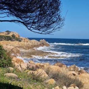 Appartamento Salvatore Caletta sul mare img22