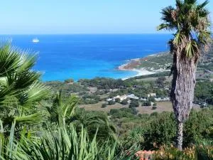 Palmier - Корбара