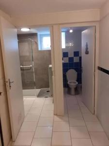 Appartements Charmant appartement a Le Val-d-Ajol avec terrasse : photos des chambres