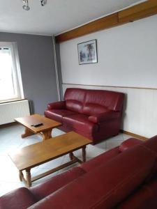 Appartements Charmant appartement a Le Val-d-Ajol avec terrasse : photos des chambres
