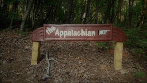Appalachian Cabin- Trout Stream Firepit Hot Tub