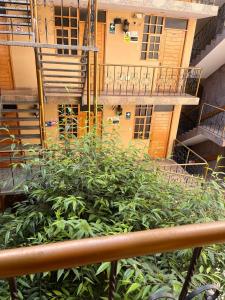 Hostal Cactus