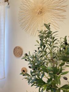 อุ่นไอดิน Home Stay