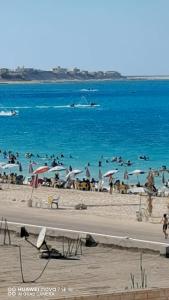 السلام والمحبة