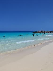 السلام والمحبة