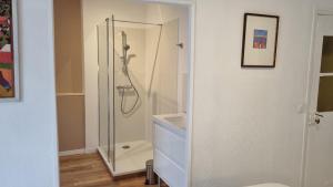 Les Toits de Collioure