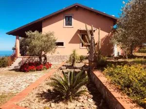 La Casa nel Vigneto - Torrenova