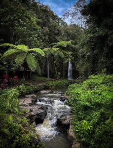 Serenity Lodge Tetebatu Lombok